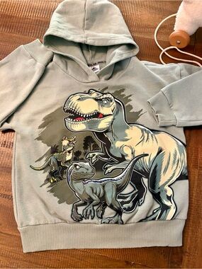 🦖Jurassic World / Park Hoodie Pullover Sweatshirt Sage Green Size 5T